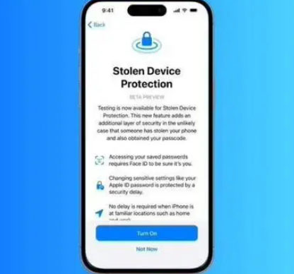 大成镇苹果授权维修店分享被盗设备保护功能开启方法 