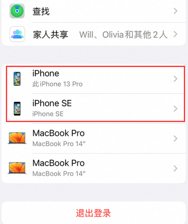 大成镇苹大成镇果维修网点分享iPhone如何查询序列号