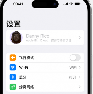 大成镇appleID维修服务iPhone设置中Apple ID显示为灰色无法使用 