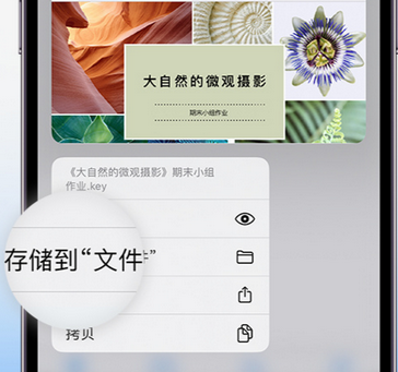 大成镇apple维修中心分享iPhone文件应用中存储和找到下载文件