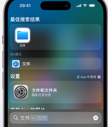 大成镇apple维修中心分享iPhone文件应用中存储和找到下载文件