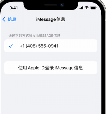 大成镇apple维修iPhone上无法正常发送iMessage信息 