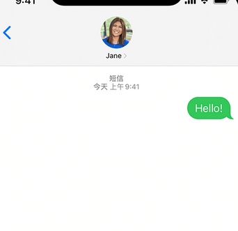 大成镇apple维修iPhone上无法正常发送iMessage信息