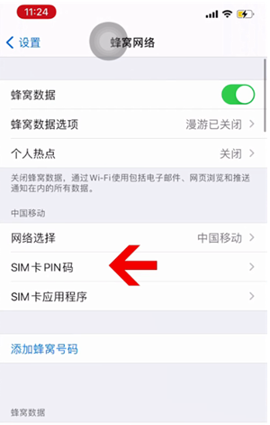 大成镇苹果14维修网分享如何给iPhone14的SIM卡设置密码 