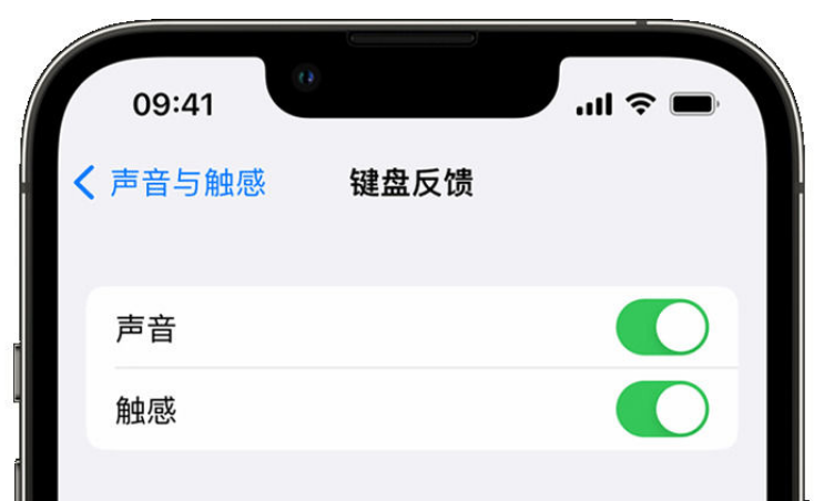 大成镇苹果手机维修分享iPhone 14触感键盘使用方法 