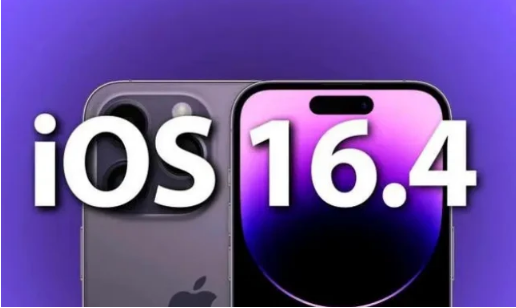 大成镇苹果14维修分享：iPhone14可以升级iOS16.4beta2吗？ 