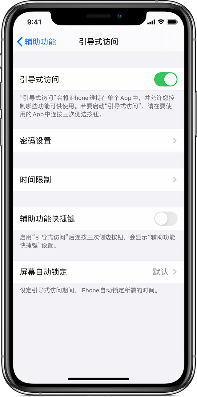 大成镇苹果手机维修分享如何在 iPhone 上退出引导式访问 