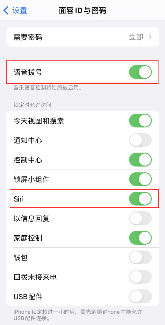 大成镇苹果维修网点分享不解锁 iPhone 的情况下通过 Siri 拨打电话的方法 