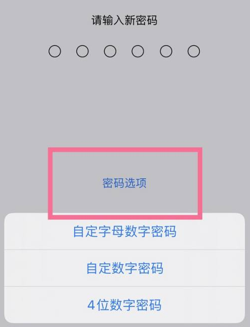 大成镇苹果14维修分享iPhone 14plus设置密码的方法 