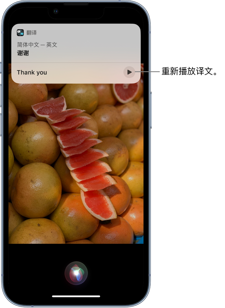 大成镇苹果14维修分享 iPhone 14 机型中使用 Siri：了解 Siri 能帮你做什么 