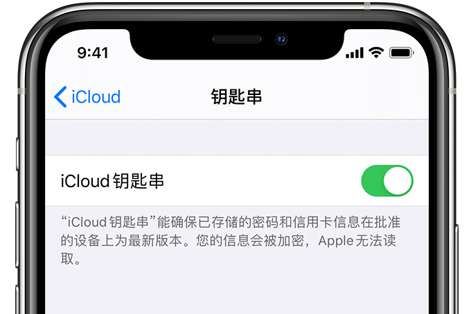 大成镇苹果手机维修分享在 iPhone 上开启 iCloud 钥匙串之后会储存哪些信息 