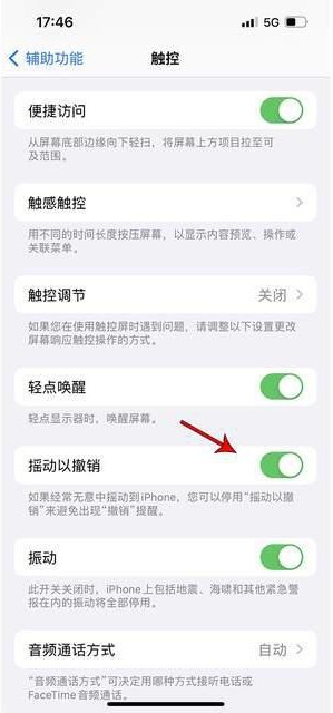 大成镇苹果手机维修分享iPhone手机如何设置摇一摇删除文字 