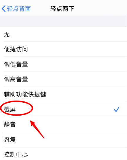 大成镇苹果手机维修分享iPhone12如何启用双击截屏 