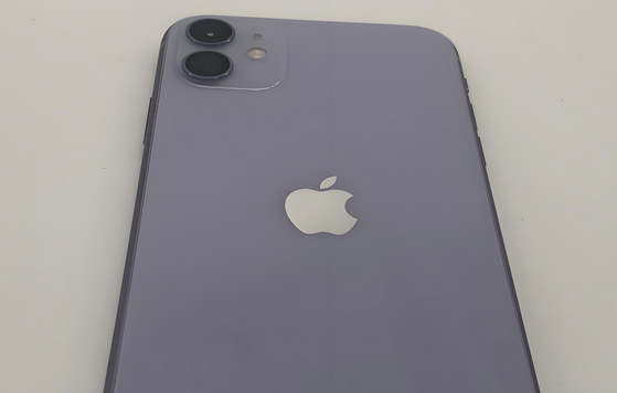 大成镇苹果11系统维修分享iPhone11手机系统崩溃无法开机如何解决